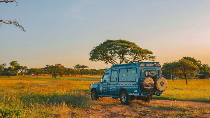 Safarie dans la savane africaine. Un 4x4 roule
