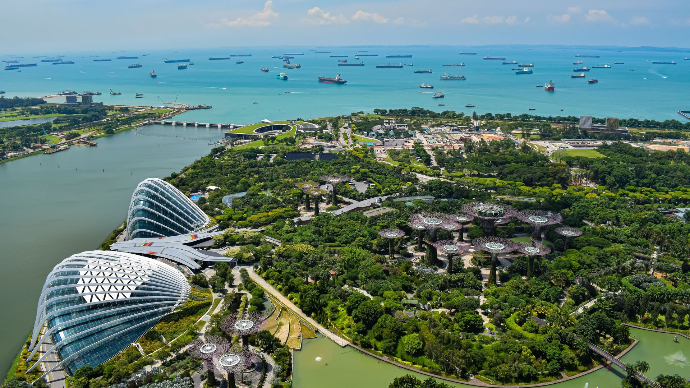 Vue aérienne époustouflante des Gardens by the Bay à Singapour avec des navires en arrière-plan.